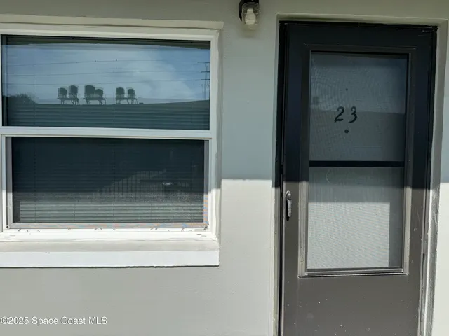 a view of a swimming pool with a chair and potted plants