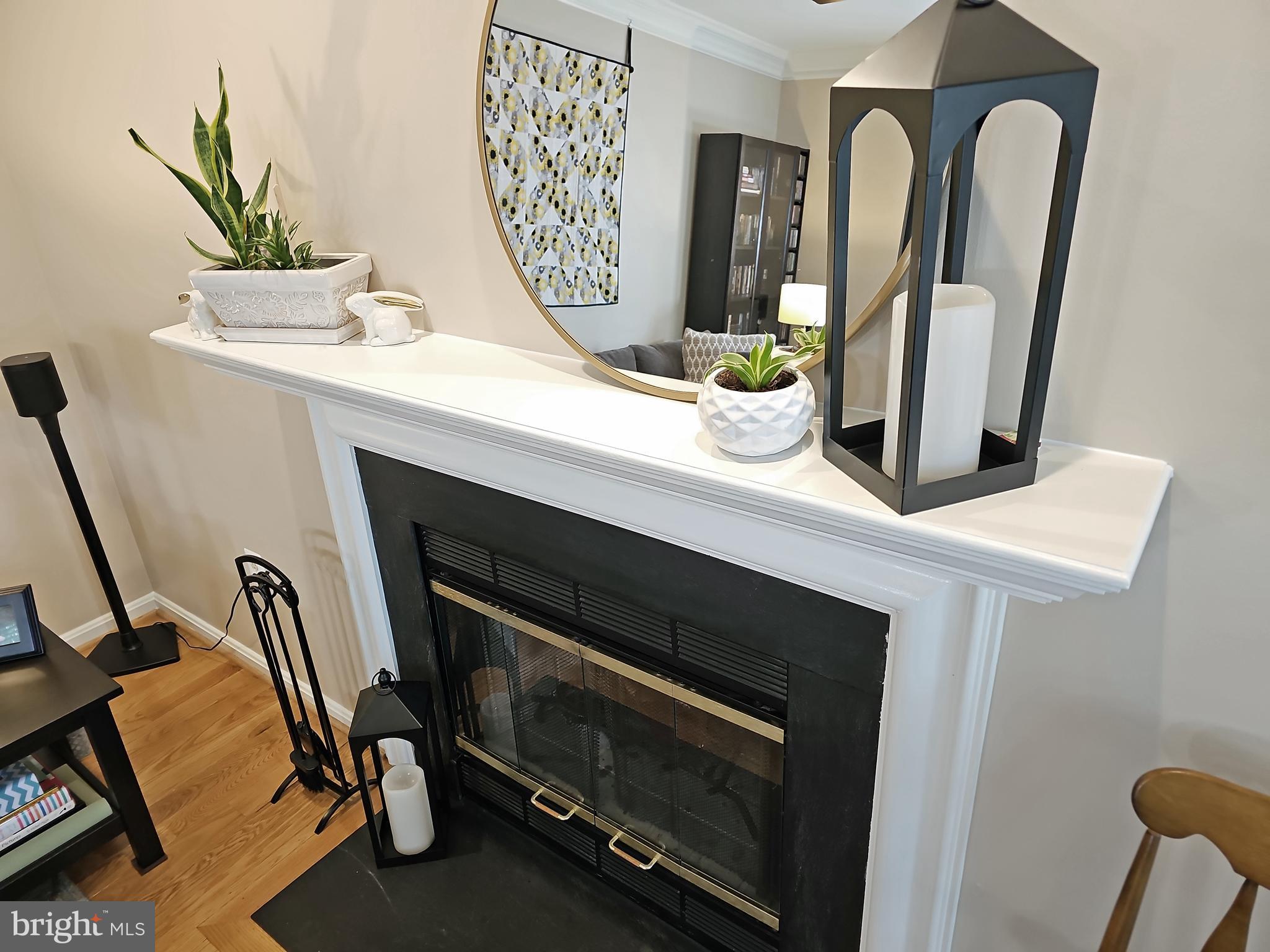 13903 Wild Raspberry Court Gainesville, VA 20155 - Photo 26 of 64 Living Room, wood burning fireplace