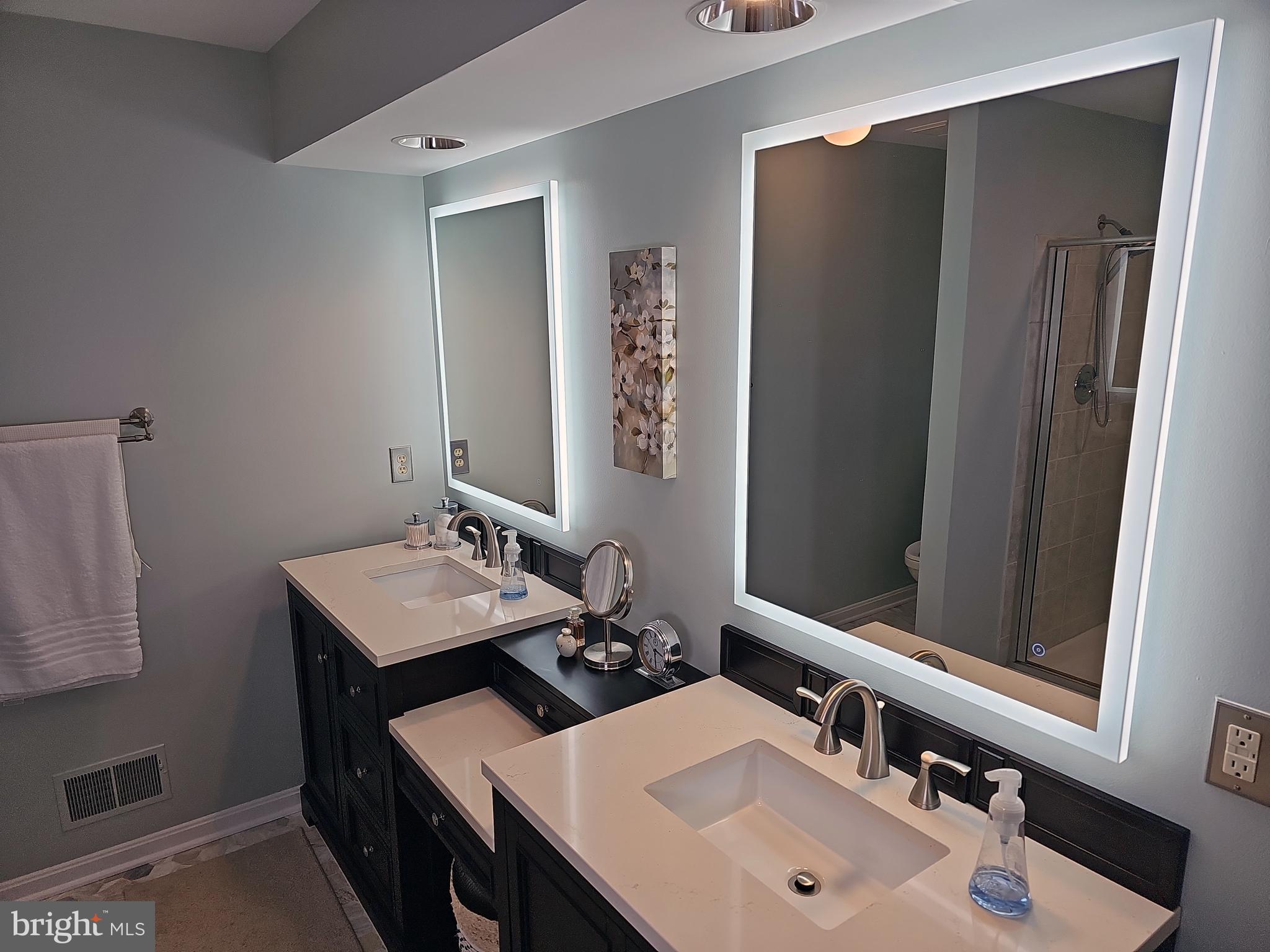 13903 Wild Raspberry Court Gainesville, VA 20155 - Photo 39 of 64 Renovated Principal Bathroom