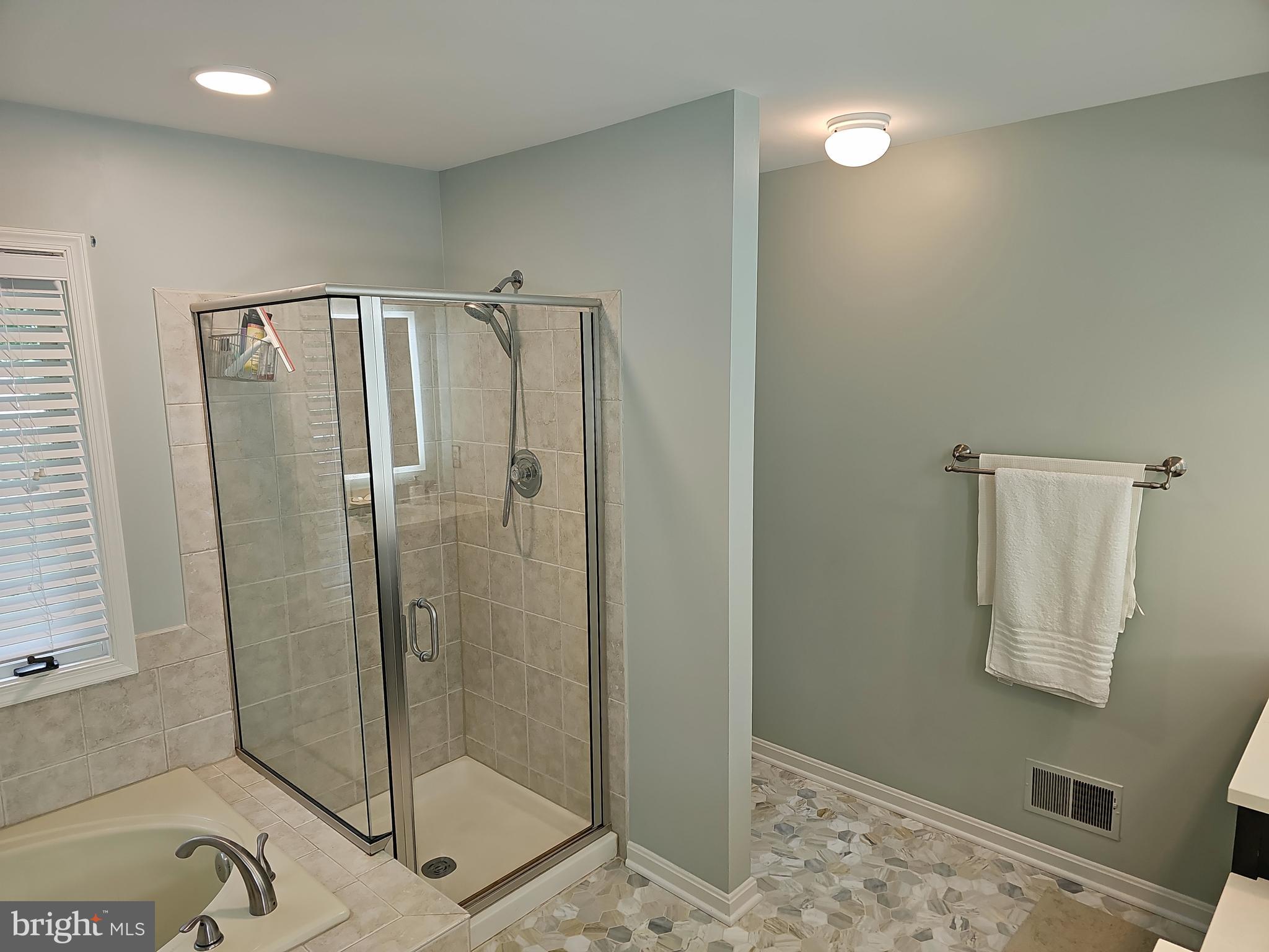 13903 Wild Raspberry Court Gainesville, VA 20155 - Photo 40 of 64 Principal Bathroom