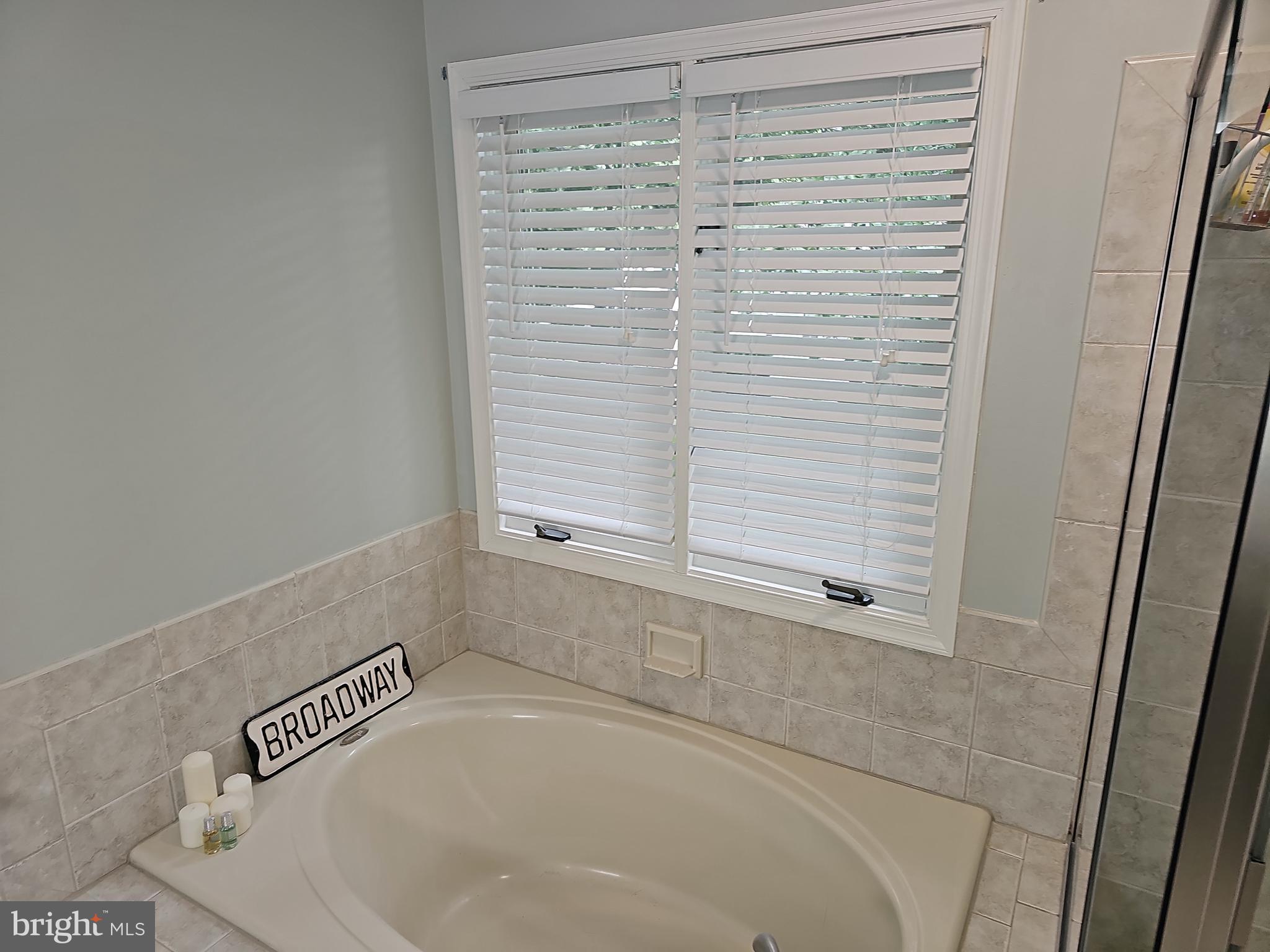 13903 Wild Raspberry Court Gainesville, VA 20155 - Photo 41 of 64 Soaking tub in Principal Bathroom