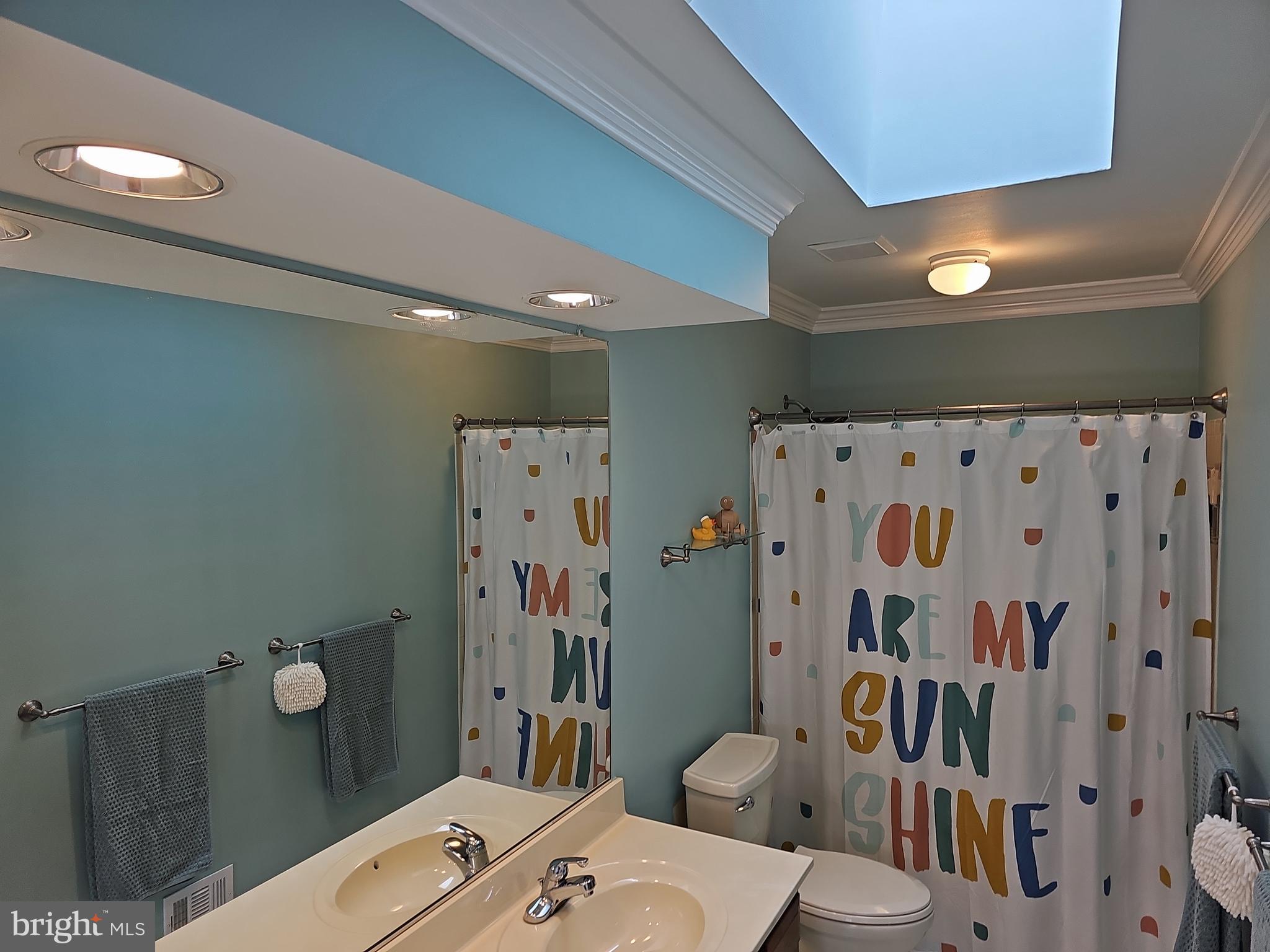 13903 Wild Raspberry Court Gainesville, VA 20155 - Photo 47 of 64 Bathroom #3, full bath upstairs. Has skylight.