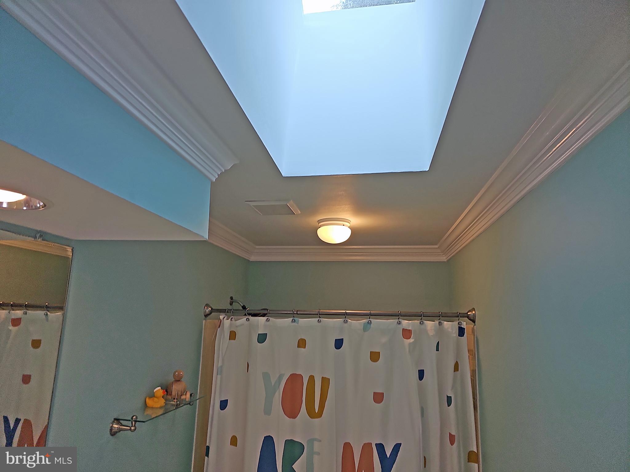 13903 Wild Raspberry Court Gainesville, VA 20155 - Photo 49 of 64 Skylight in Bathroom #3, upstairs