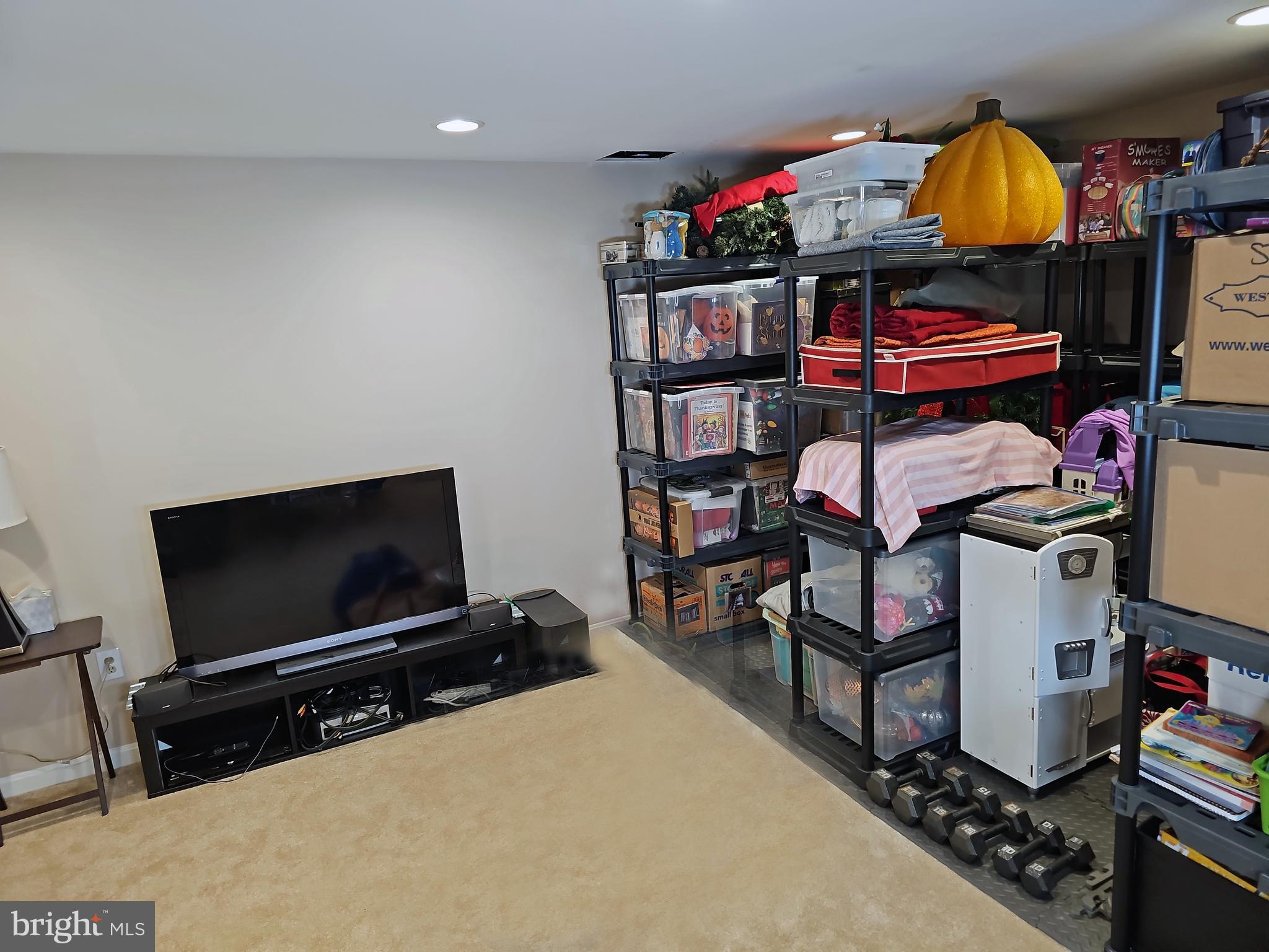 13903 Wild Raspberry Court Gainesville, VA 20155 - Photo 51 of 64 Newly carpeted, very large Basement storage room.