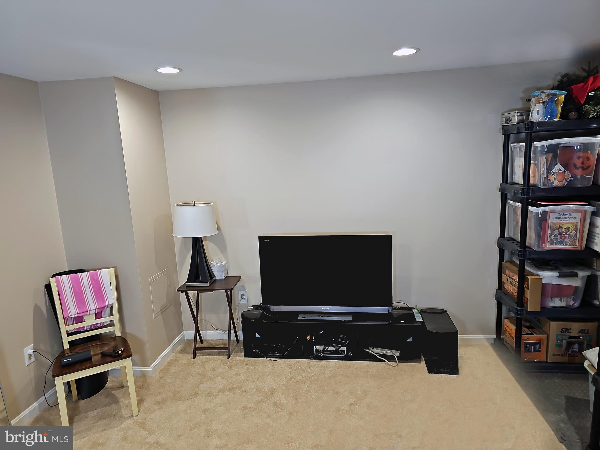 13903 Wild Raspberry Court Gainesville, VA 20155 - Photo 52 of 64 Newly carpeted, very large Basement storage room.