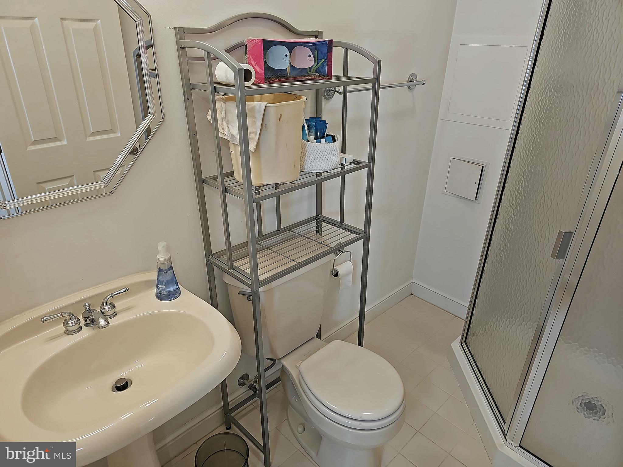 13903 Wild Raspberry Court Gainesville, VA 20155 - Photo 53 of 64 Bathroom #4. Full bathroom in basement.