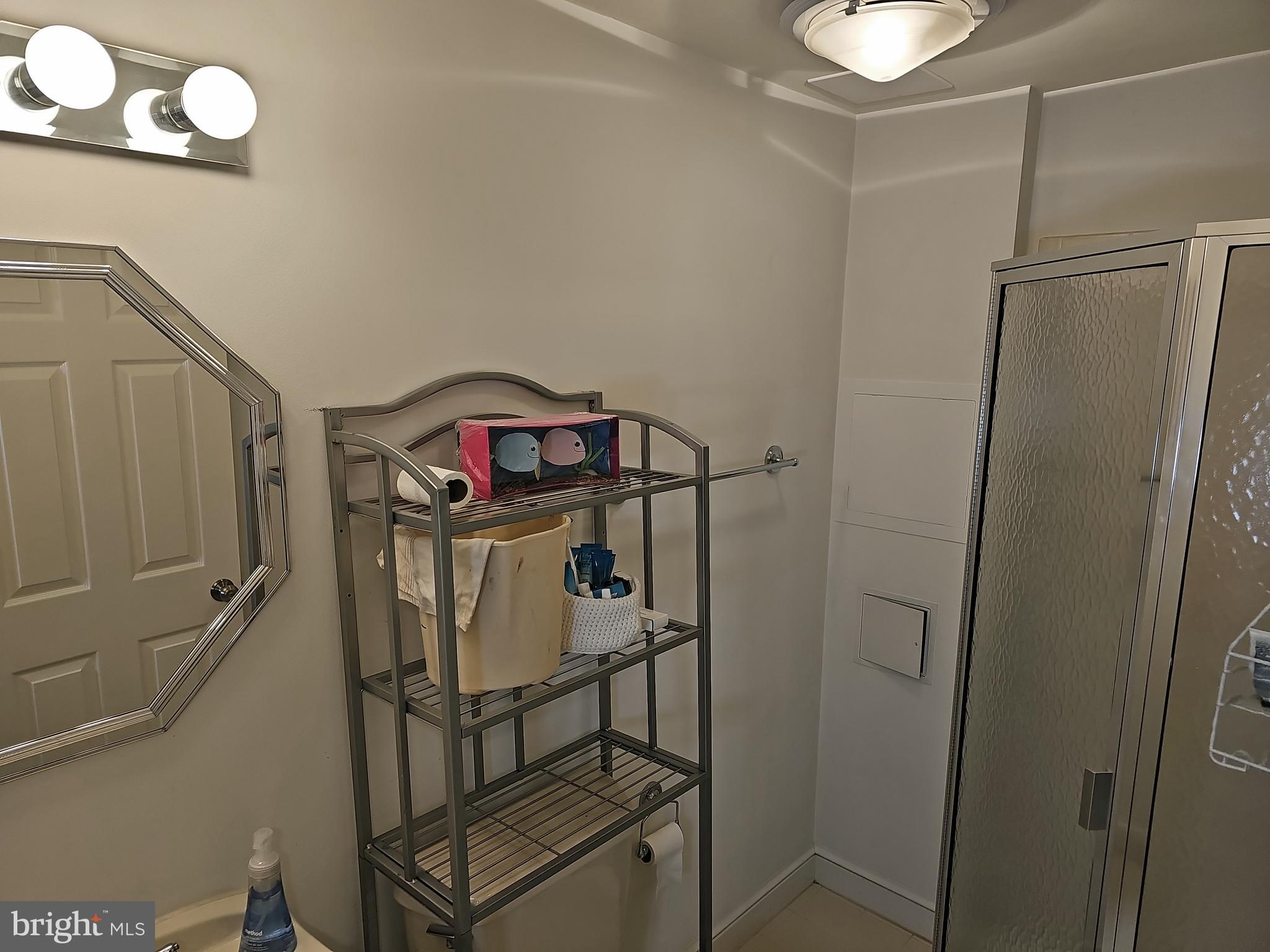 13903 Wild Raspberry Court Gainesville, VA 20155 - Photo 54 of 64 Bathroom #4. Full bathroom in basement.
