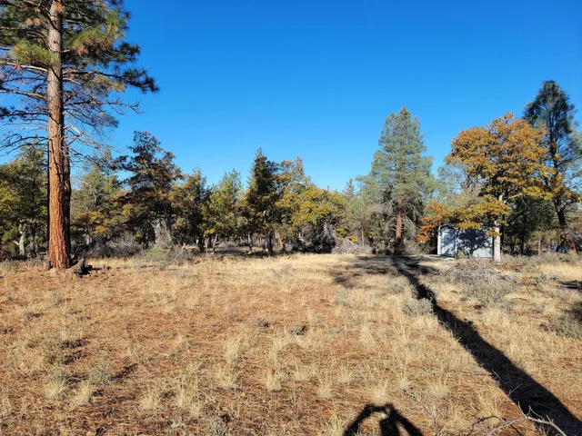 $42,000 | Cassel Fall River Road, Fall River Mills, CA 96028