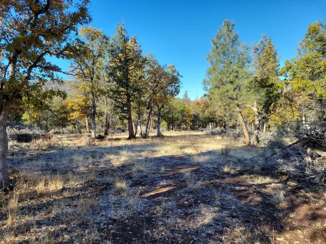 $42,000 | Cassel Fall River Road, Fall River Mills, CA 96028