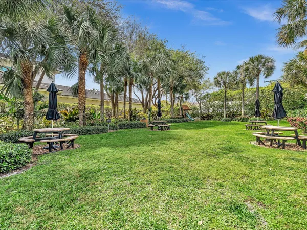 a view of a park with bench and trees