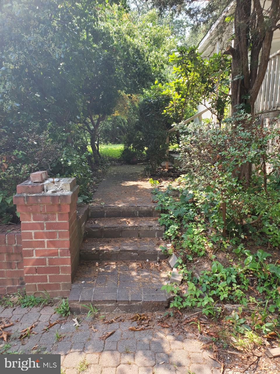 1520 Foster Road Silver Spring, MD 20905 - Photo 7 of 46 Front Brick Sidewalk