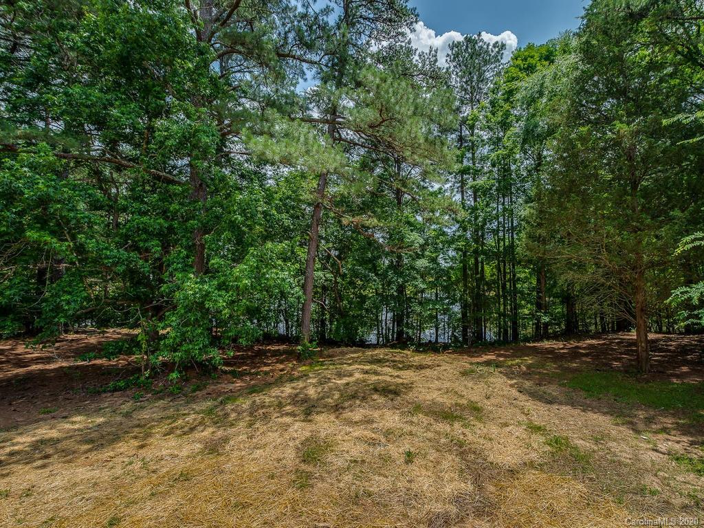 2096 Hardin Strait Road Chester, SC 29706 - Photo 27 of 27 a backyard of a house with lots of green space
