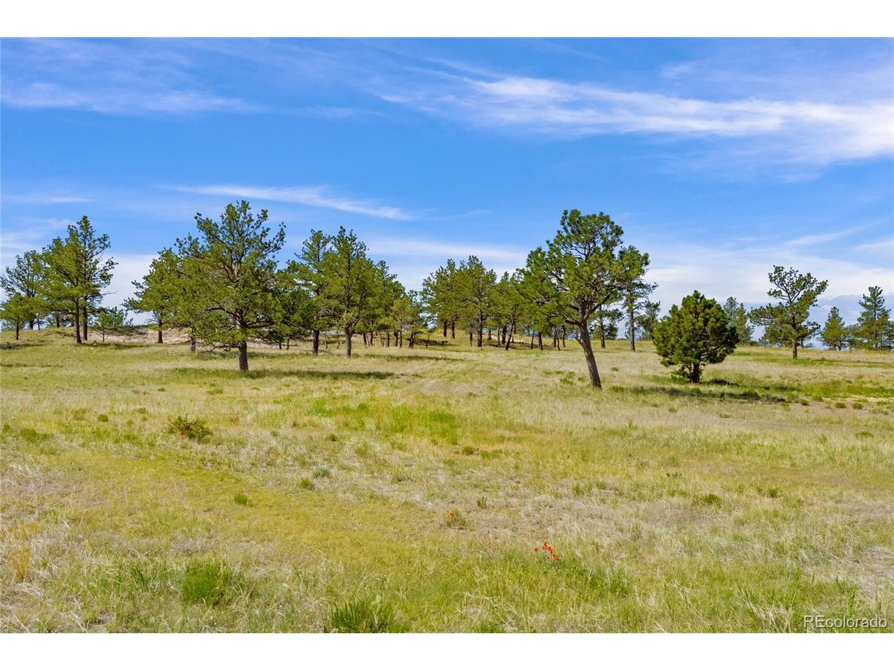 77 County Road Calhan, CO 80808 - Photo 1 of 27 Gallery Image 1
