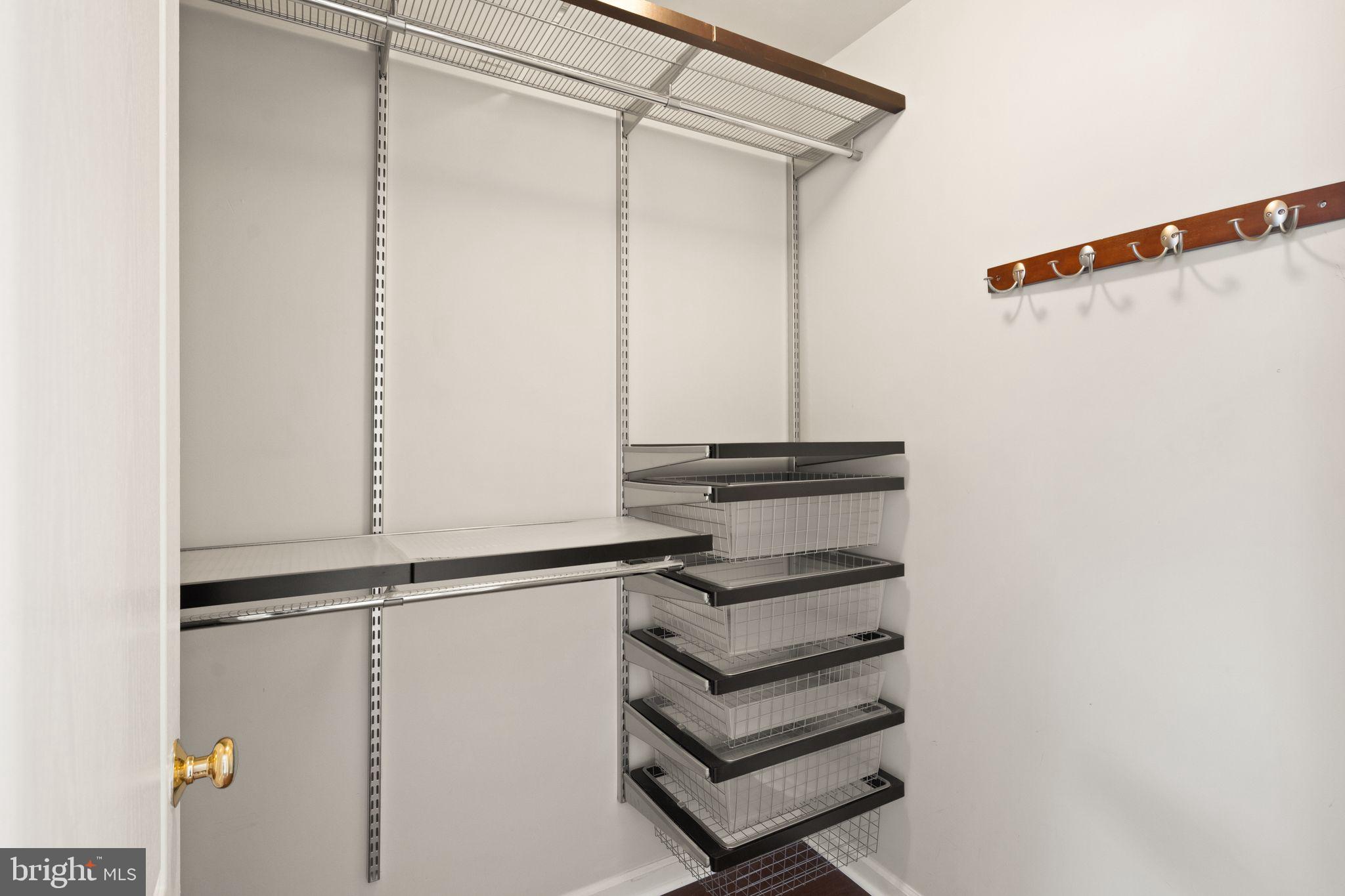 1327 Murray Downs Way Reston, VA 20194 - Photo 31 of 66 a close view of closet