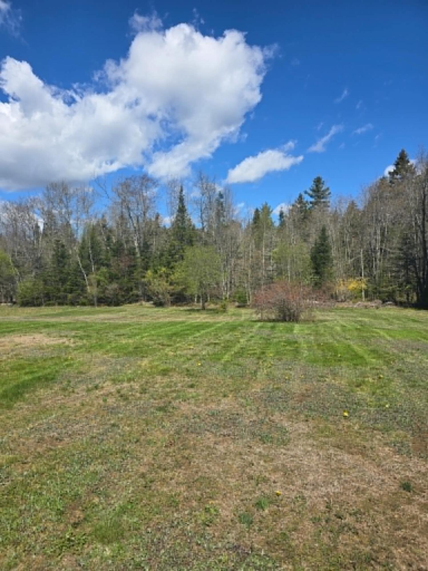20 Damon Road Stockton Springs, ME 04981 - Photo 11 of 12 back yard