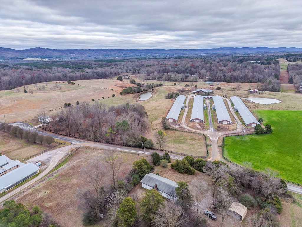141 Howard Leonard Road Ringgold, GA 30736 - Photo 38 of 40 Gallery Image 38