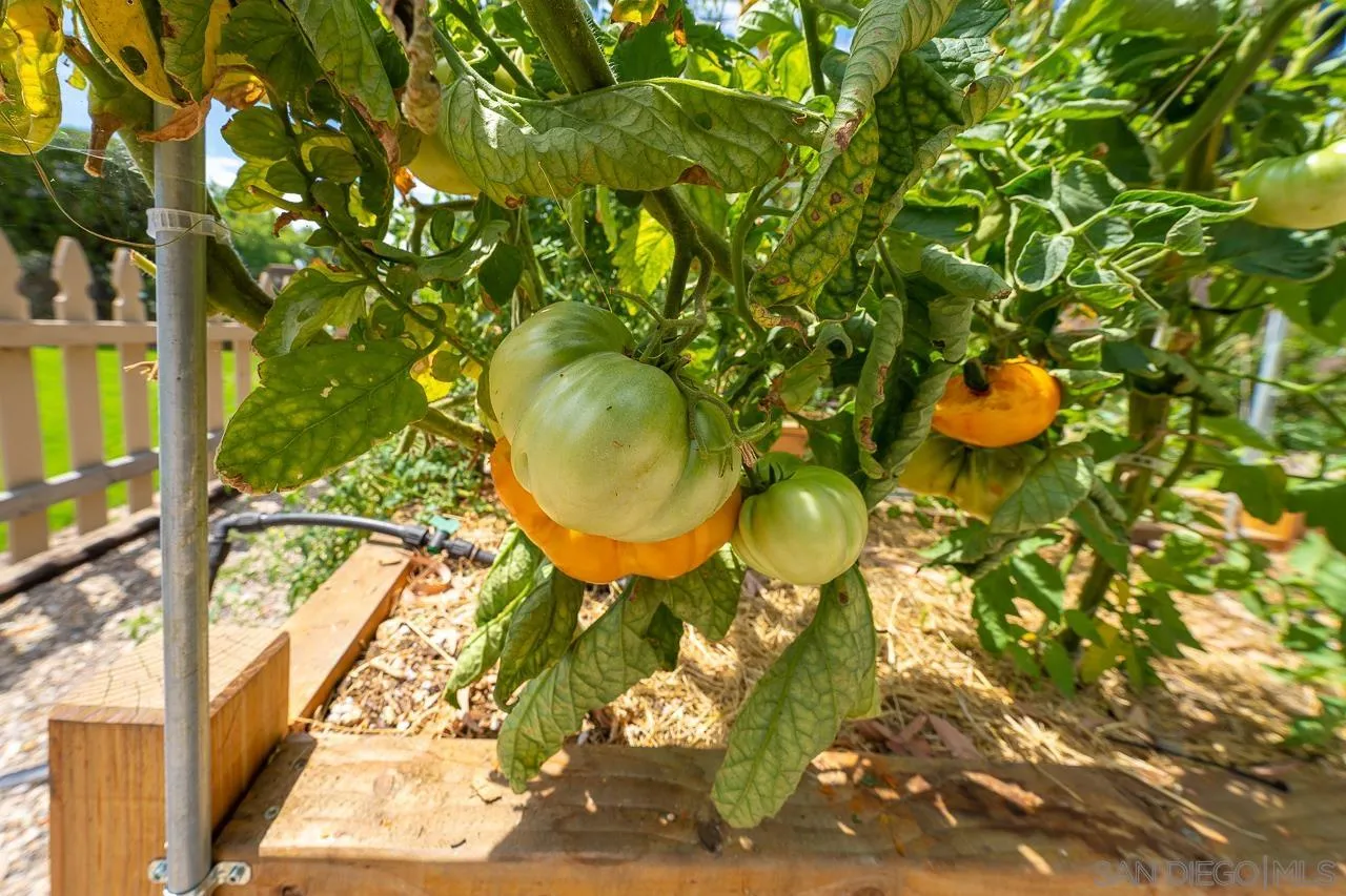 13610 Putney Road Poway, CA 92064 - Photo 35 of 62