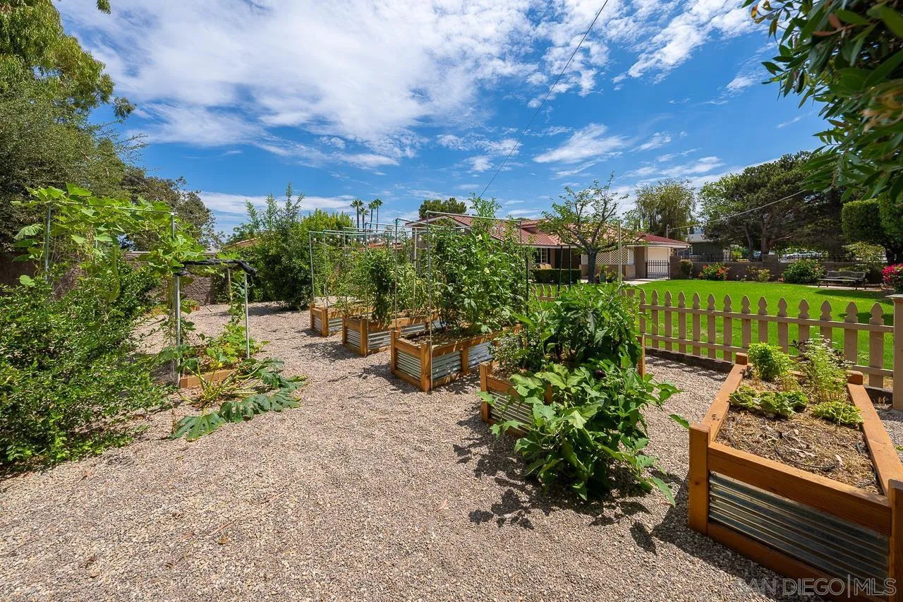 13610 Putney Road Poway, CA 92064 - Photo 40 of 62 a view of a garden with wooden fence