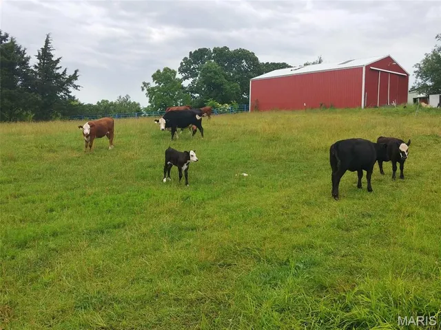 $560,000 | 4023 Juedeman Road, Cuba, MO 65453