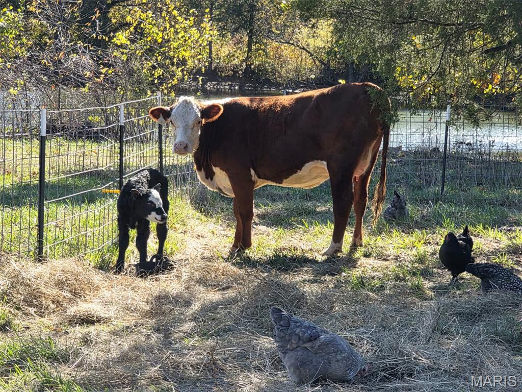 4023 Juedeman Road Cuba, MO 65453 - Photo 47 of 70