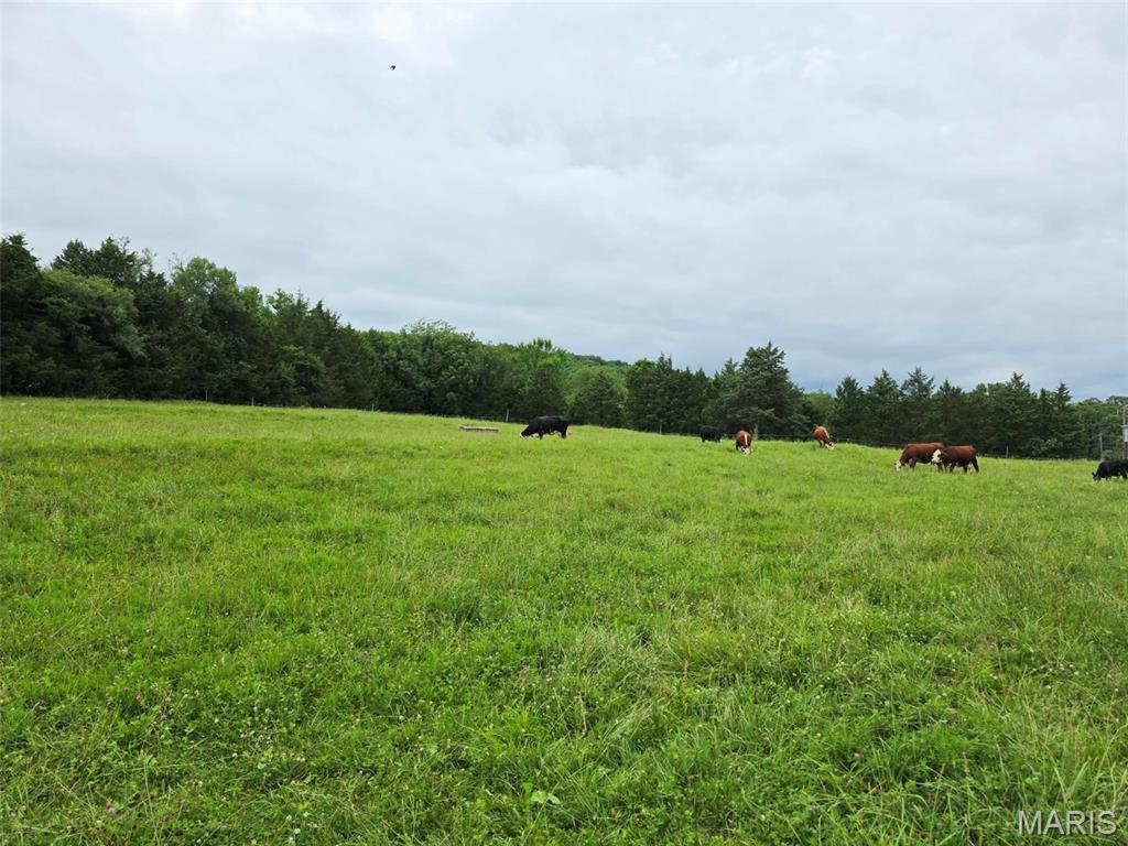 4023 Juedeman Road Cuba, MO 65453 - Photo 52 of 70