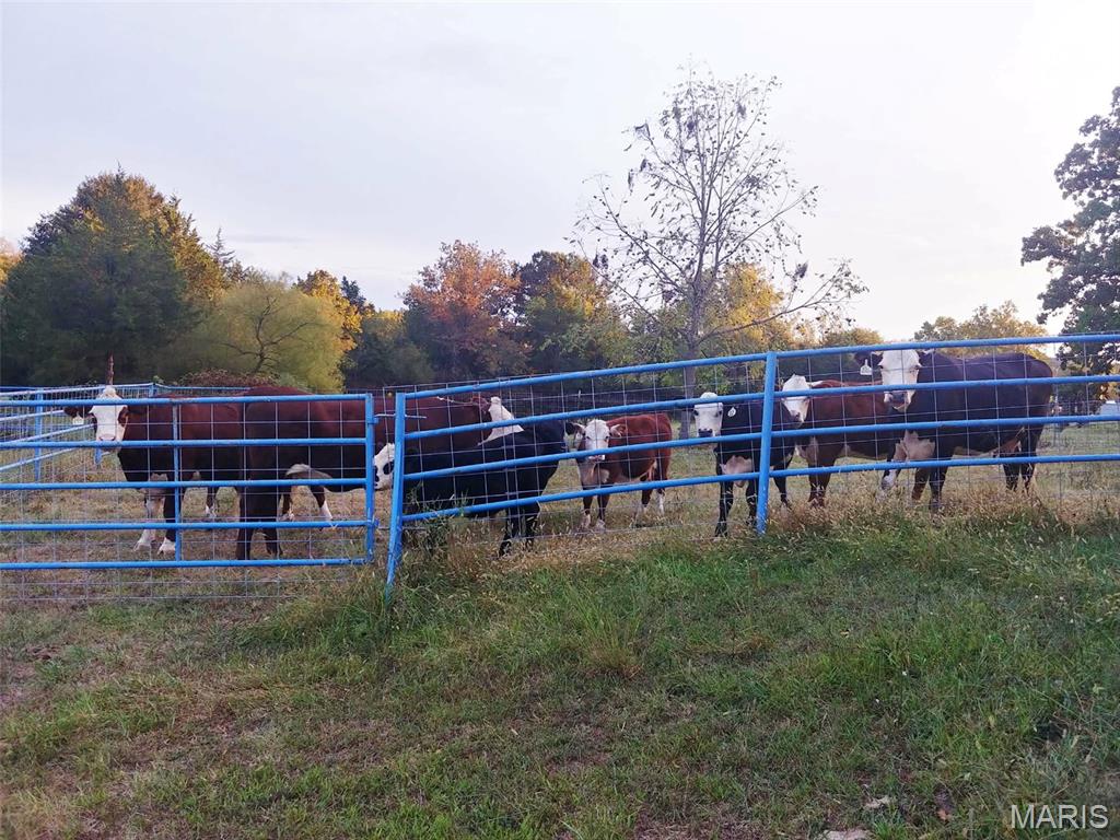 4023 Juedeman Road Cuba, MO 65453 - Photo 54 of 70