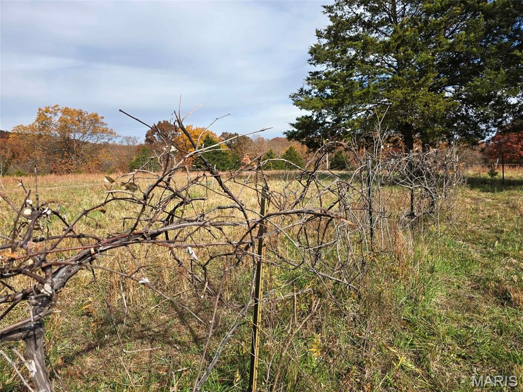 4023 Juedeman Road Cuba, MO 65453 - Photo 57 of 70