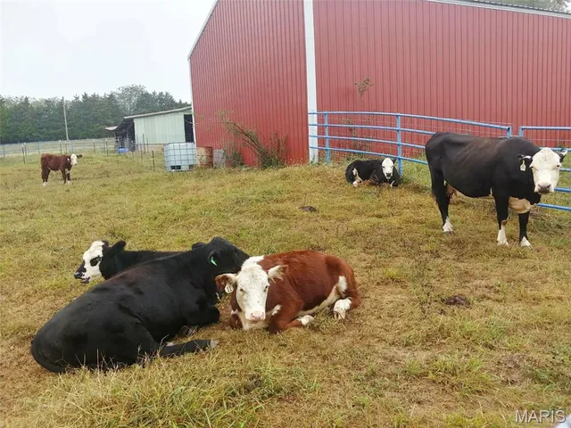 $560,000 | 4023 Juedeman Road, Cuba, MO 65453