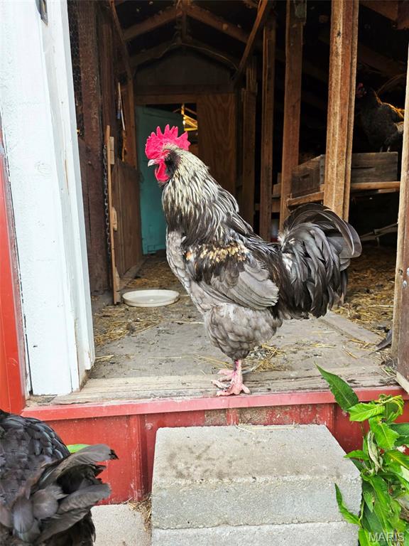 4023 Juedeman Road Cuba, MO 65453 - Photo 62 of 70