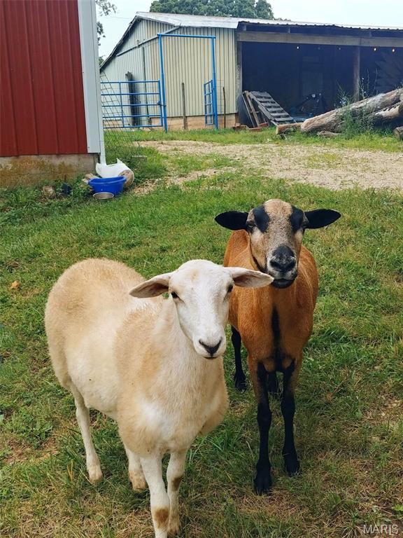 4023 Juedeman Road Cuba, MO 65453 - Photo 65 of 70