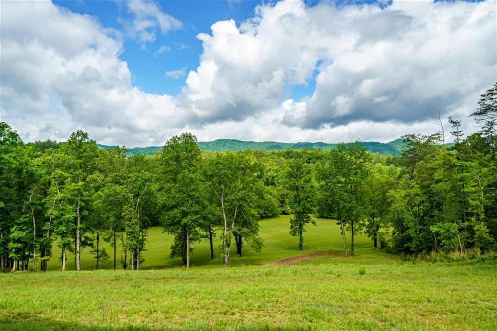 5664 Mobile Road Blue Ridge, GA 30513 - Photo 48 of 66
