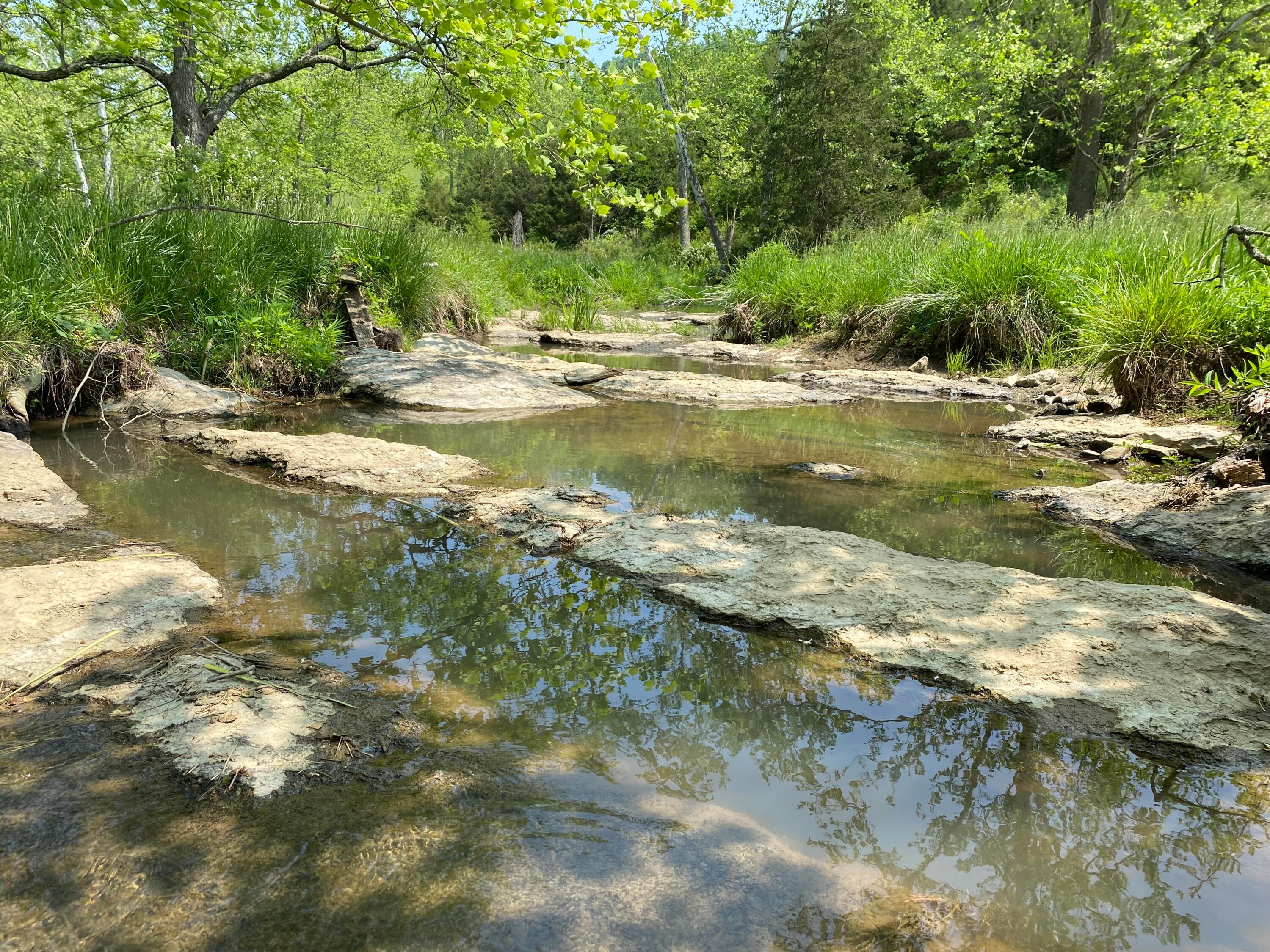 106 Creamery Road Pence Springs, WV 24962 - Photo 139 of 153 Gallery Image 139