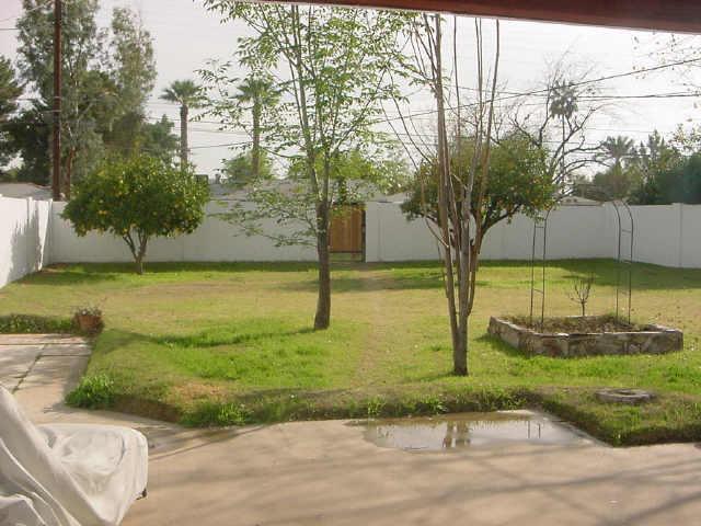 Primary Photo