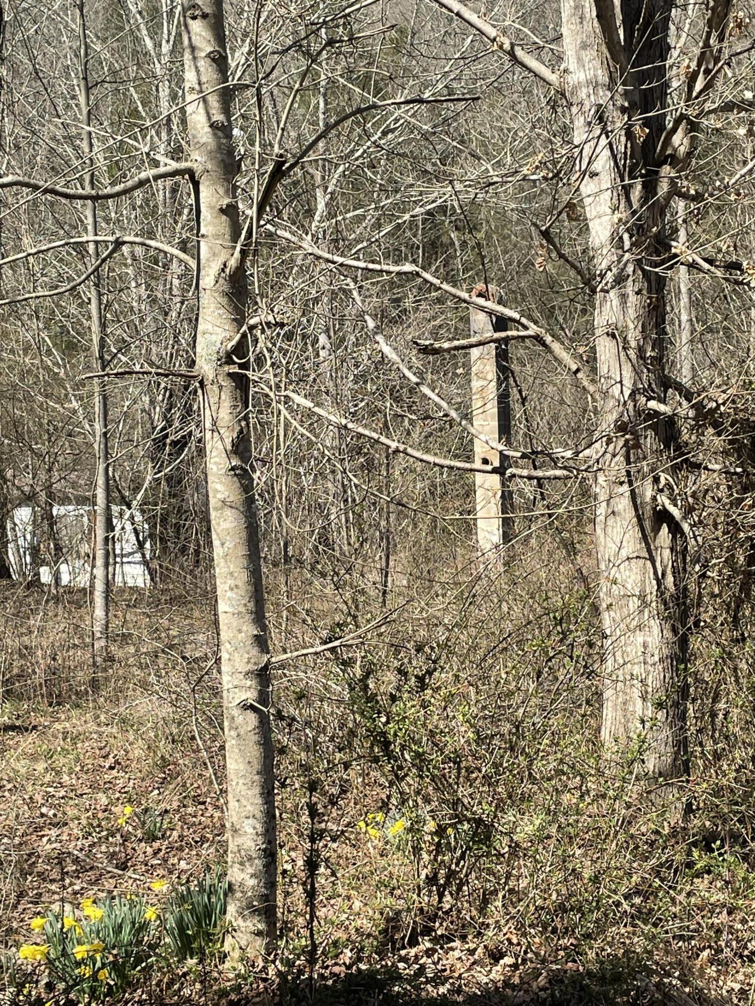 3 A Walkers Branch Road McKee, KY 40447 - Photo 20 of 39 IMG_7759
