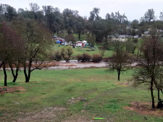 a street sign on a tree