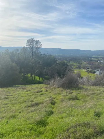 a front view of a house with yard
