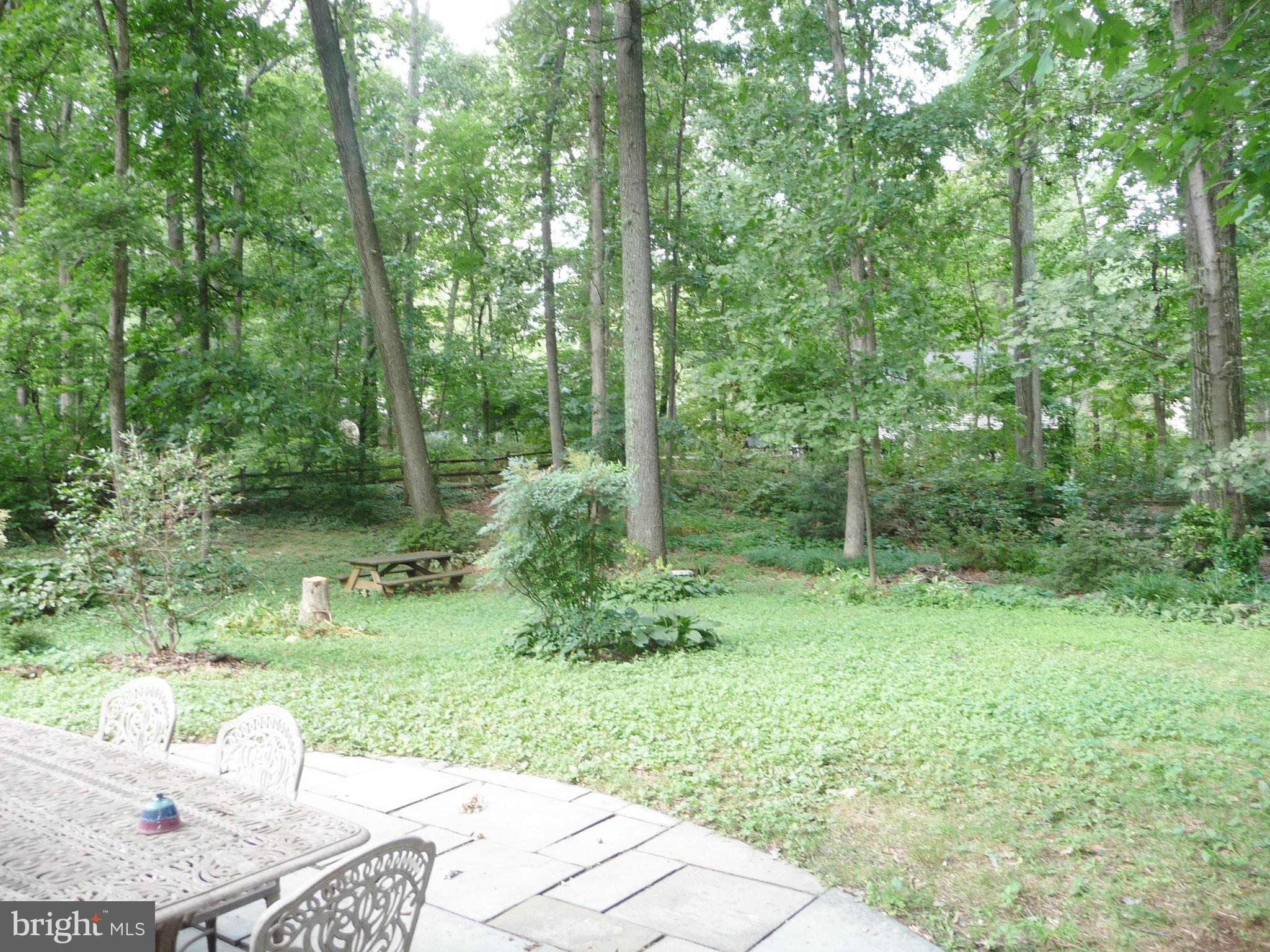 7509 Miller Fall Road Rockville, MD 20855 - Photo 18 of 29 Exterior (Rear)