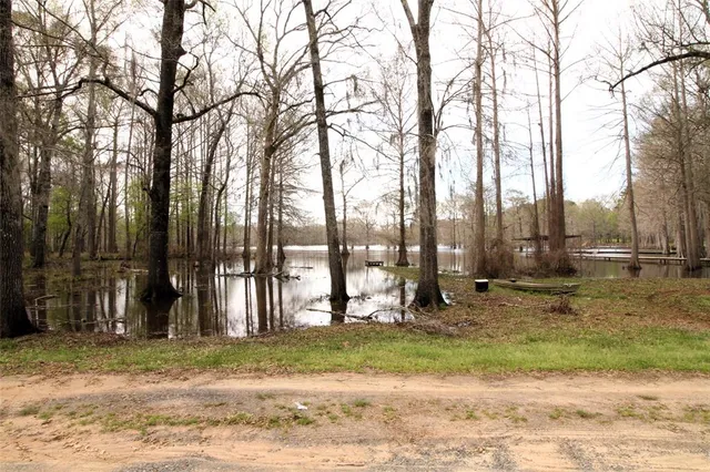 a view of a backyard with large trees