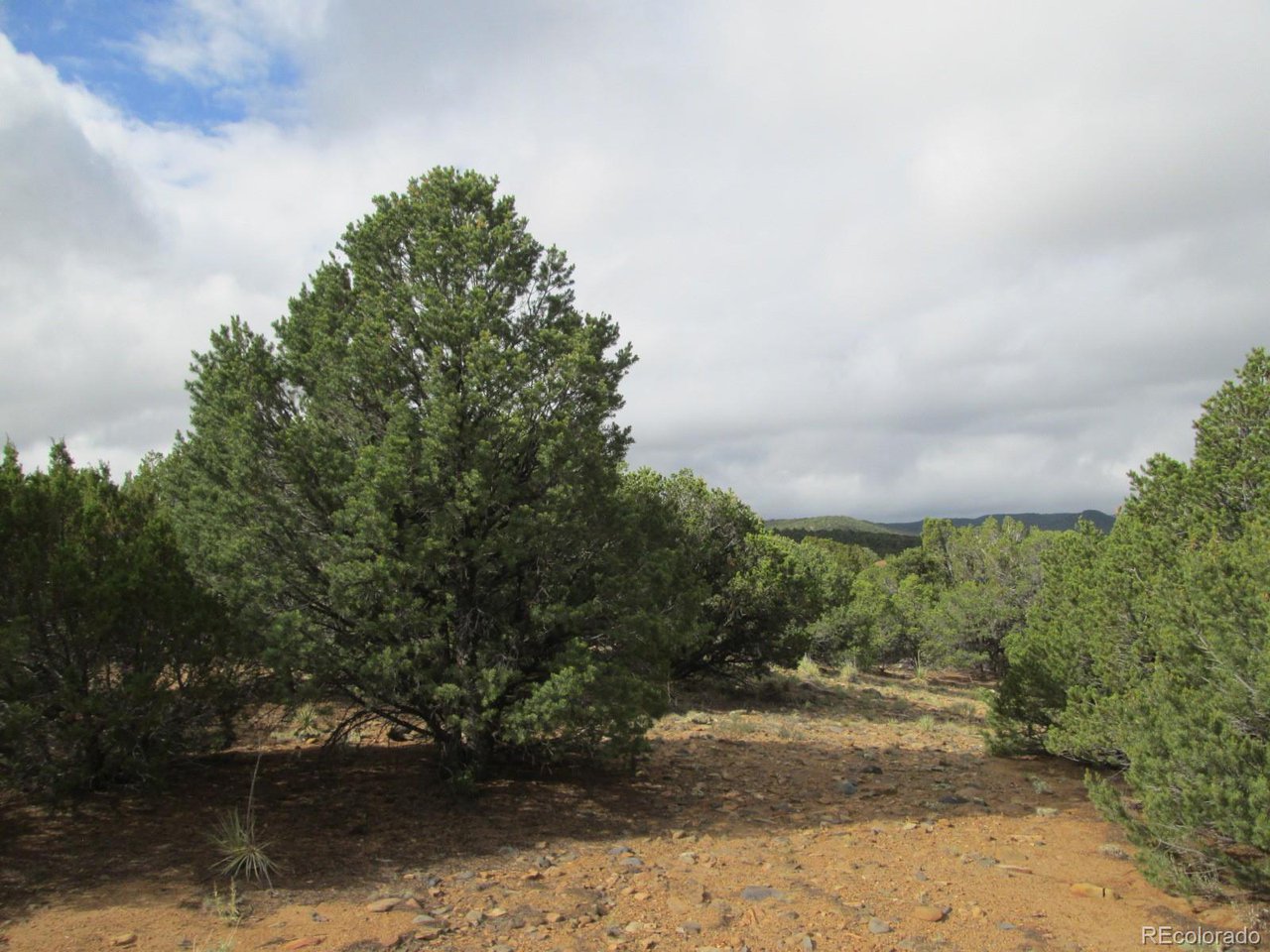 139 River Ridge Trail Walsenburg, CO 81089 - Photo 11 of 16 Gallery Image 11