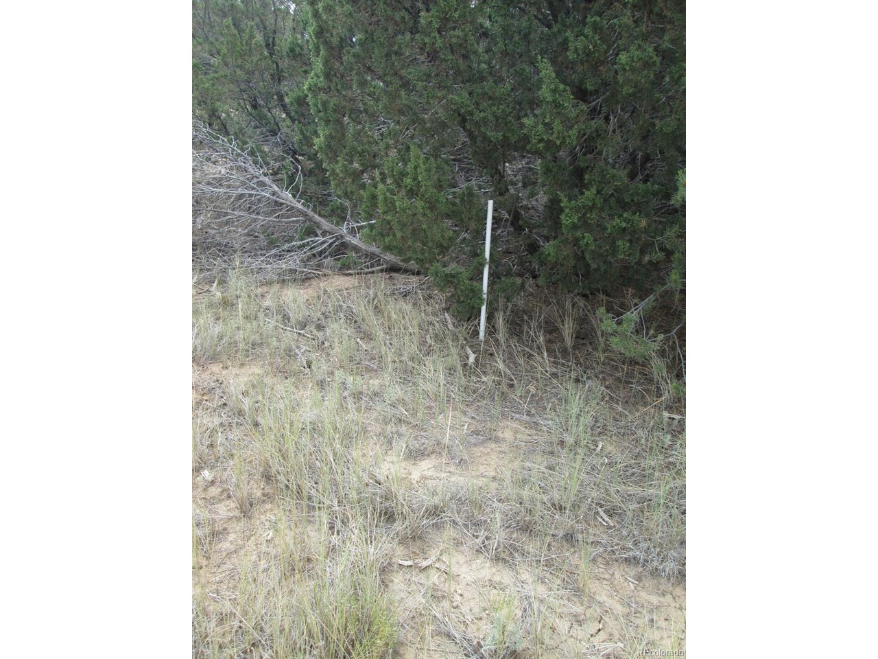 139 River Ridge Trail Walsenburg, CO 81089 - Photo 2 of 16 Gallery Image 2