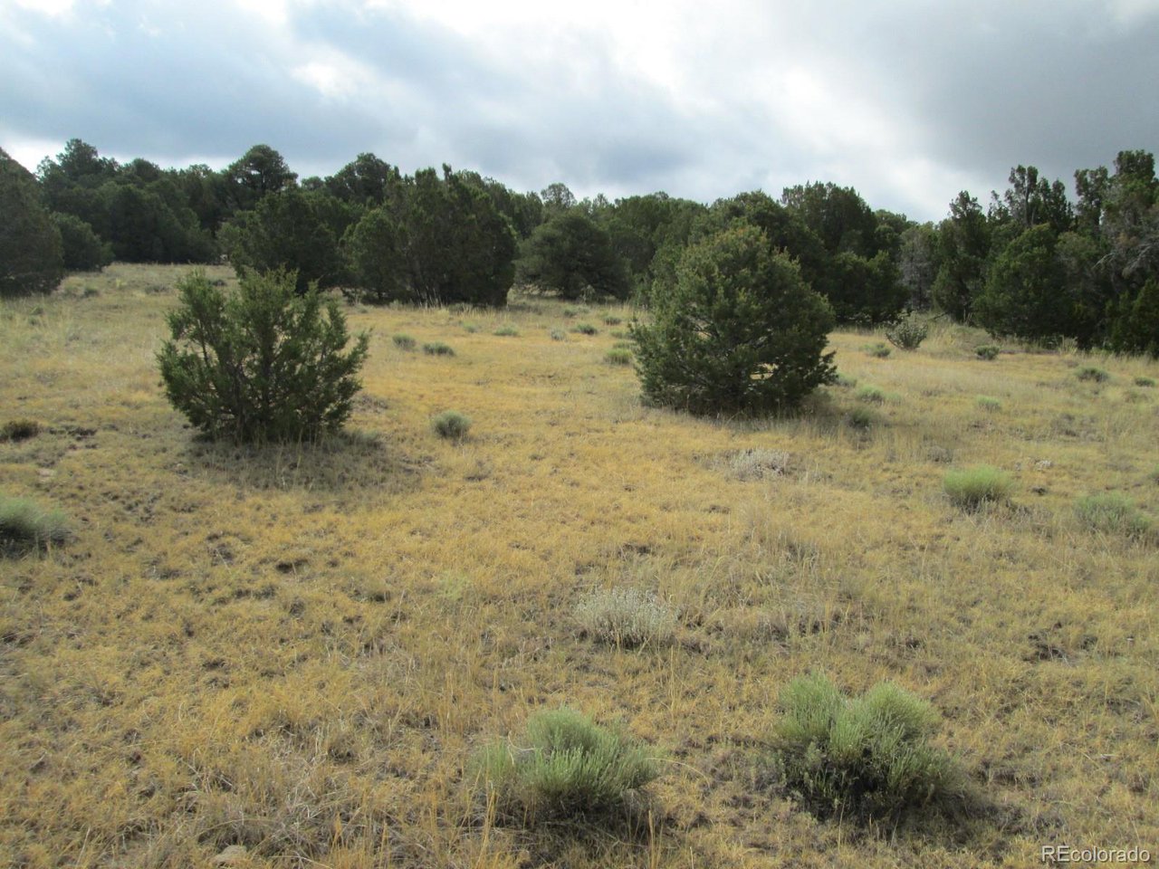 139 River Ridge Trail Walsenburg, CO 81089 - Photo 4 of 16 Gallery Image 4