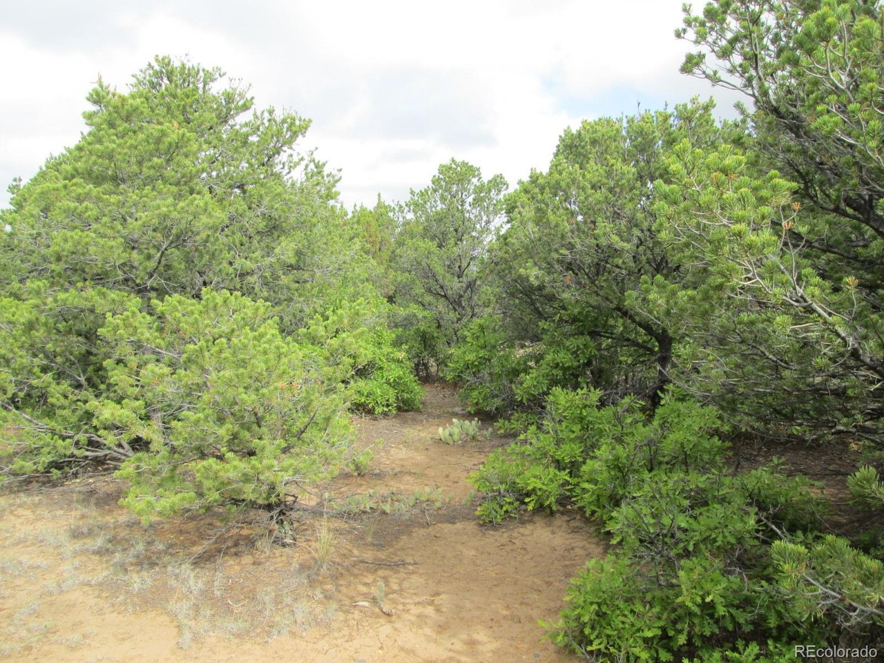 139 River Ridge Trail Walsenburg, CO 81089 - Photo 8 of 16 Gallery Image 8