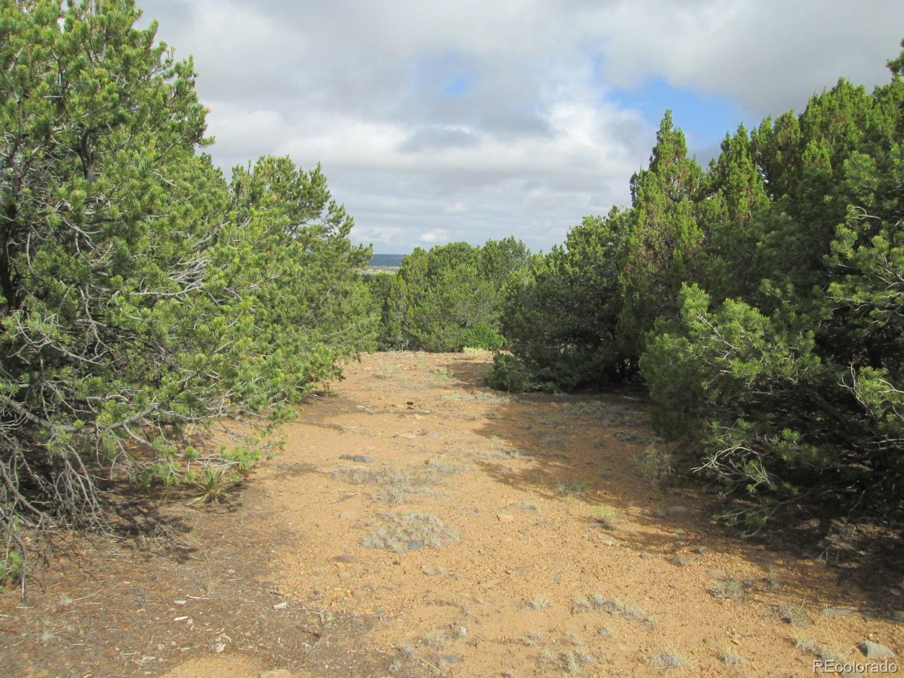 139 River Ridge Trail Walsenburg, CO 81089 - Photo 10 of 16 Gallery Image 10