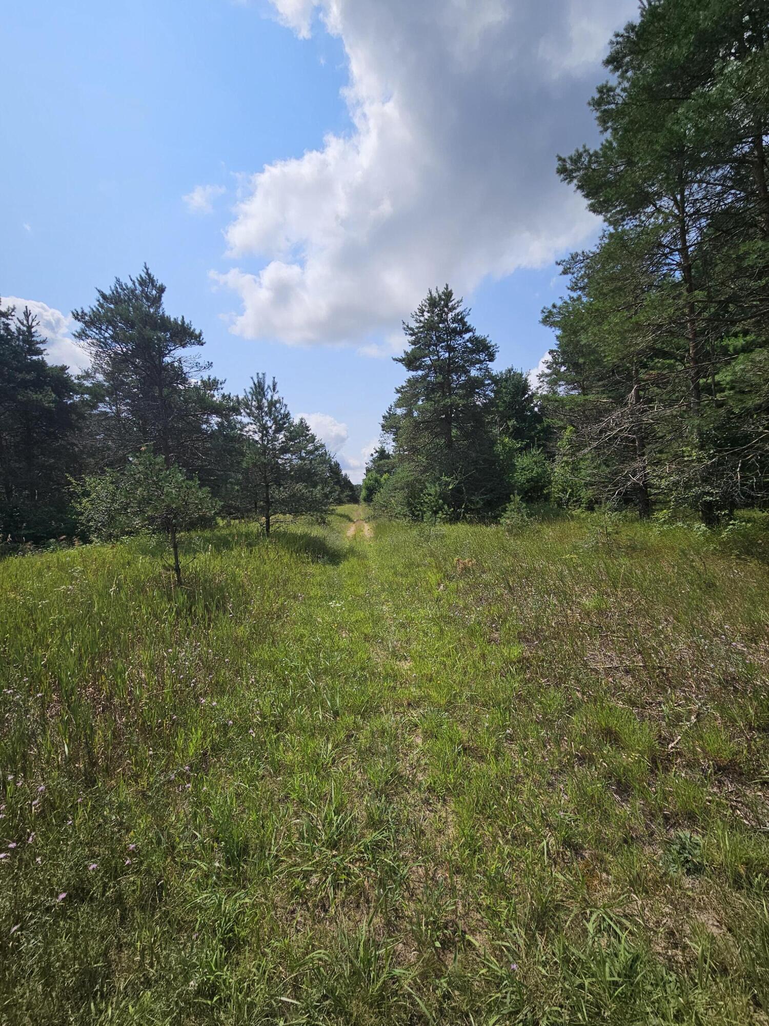 14 Mile Road Manton, MI 49663 - Photo 3 of 3 20240730_122733