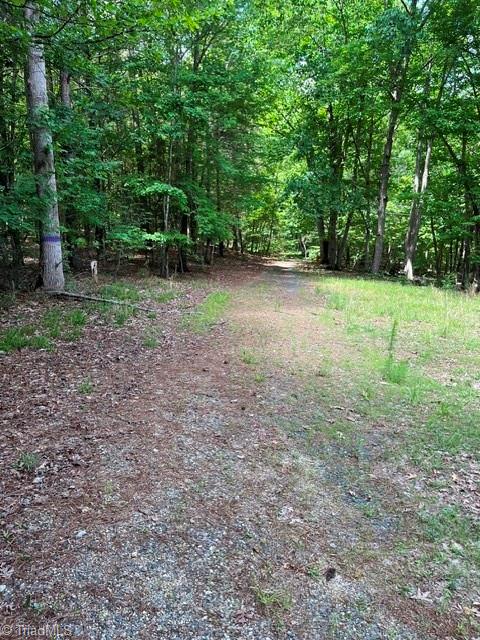 3915 Cedar Forest Road Franklinville, NC 27248 - Photo 8 of 10