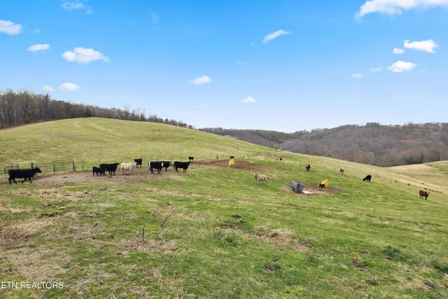 $865,000 | 351 Breanna Lane, Washburn, TN 37888