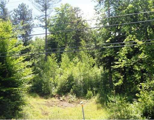 Lot #59 Rt 108 Auburn Road Peru, ME 04290 - Photo 3 of 5 Exterior Front.