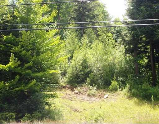 Lot #59 Rt 108 Auburn Road Peru, ME 04290 - Photo 4 of 5 Exterior Front.