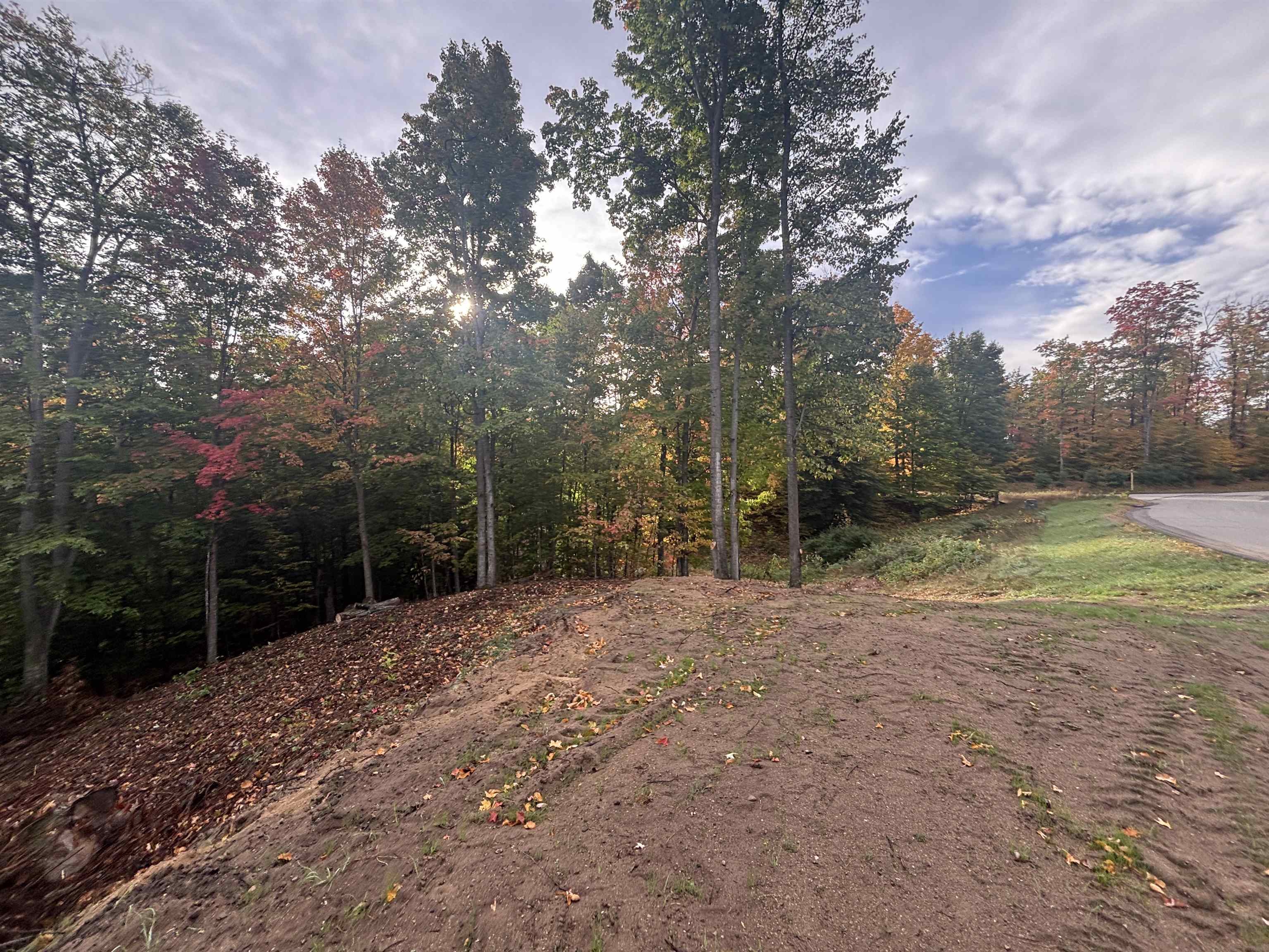 4972 Truax Lake Road Williamsburg, MI 49690 - Photo 7 of 27