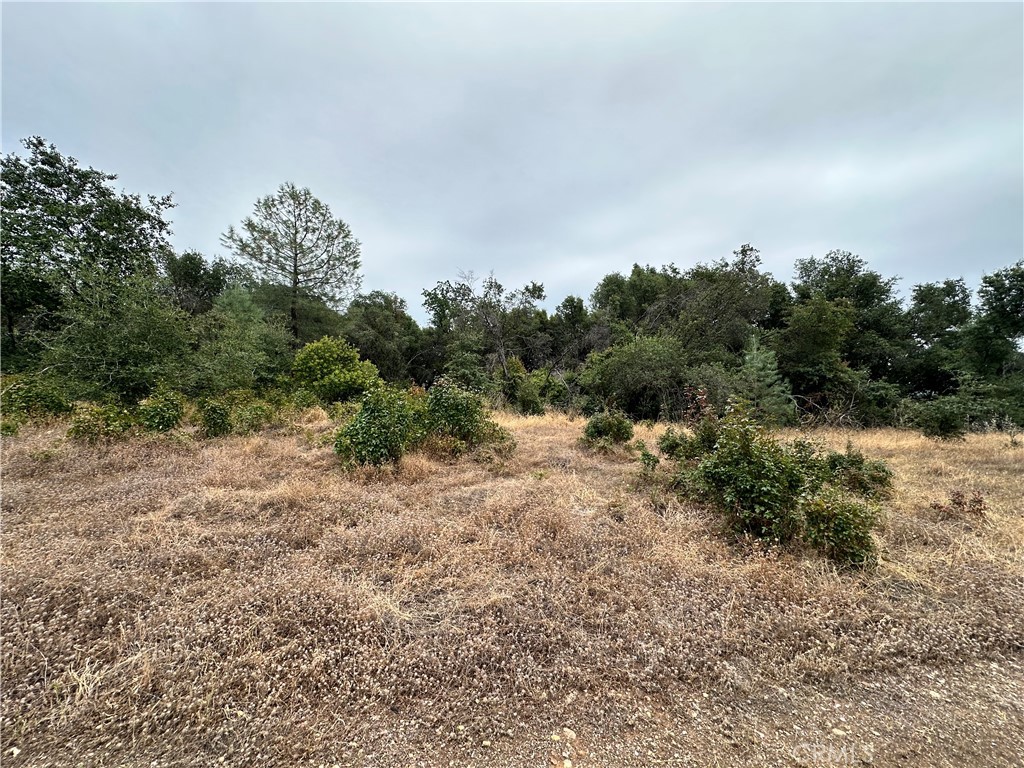 414 Beaver Road Oroville, CA 95966 - Photo 7 of 10